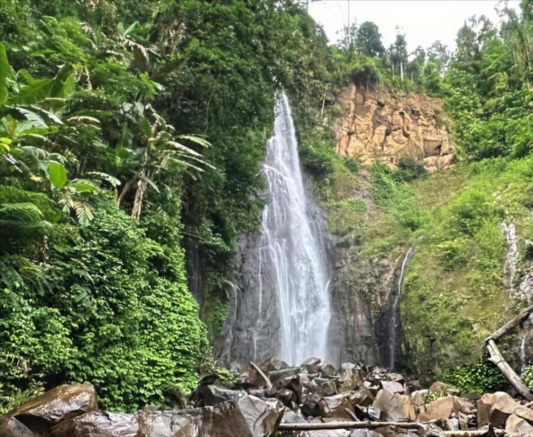 Jakarta: Botanical Garden & Rainforest Trekking to Waterfall - In-Depth Look at the Tour Experience