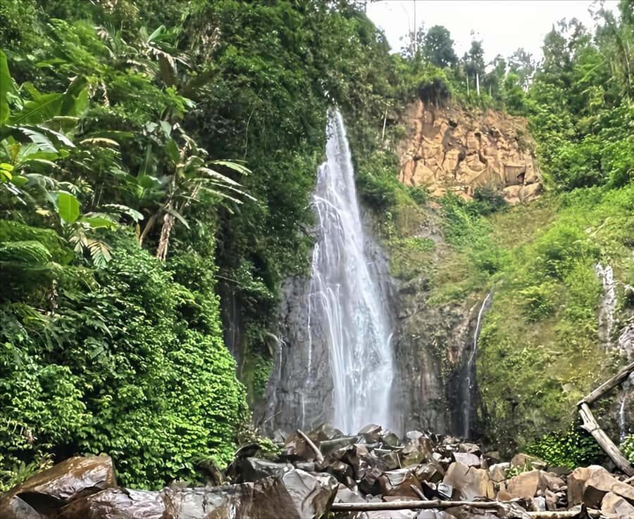 Jakarta: Botanical Garden & Rainforest Trekking to Waterfall - In-Depth Look at the Tour Experience