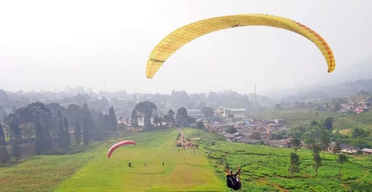 Jakarta: Paragliding on Top Mountain & Tea Plantation - Why Paragliding Over Puncak Is Special