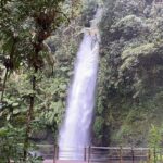 Jakarta Rainforest Hiking to Hidden Waterfall & Suspension Bridge - What Makes This Tour Stand Out?