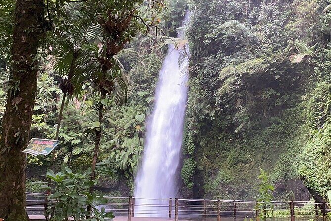 Jakarta Rainforest Hiking to Hidden Waterfall & Suspension Bridge - What Makes This Tour Stand Out?