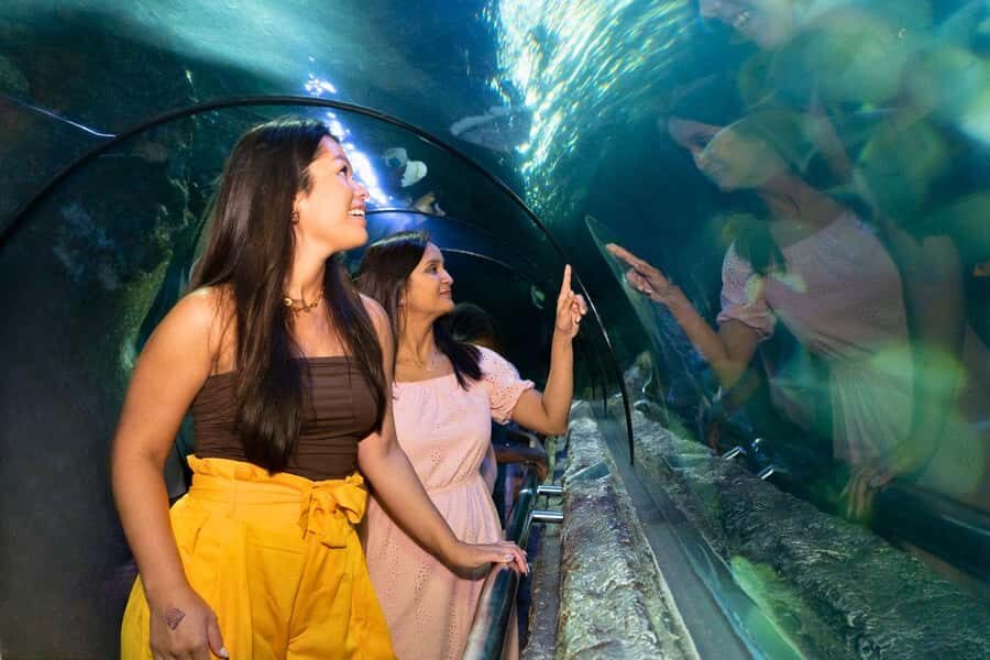 Jakarta: Sea World, Dunia Fantasi, and Ancol Dreamland Tour - Who Should Consider This Tour?