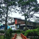 Jakarta :Volcano, HotSpring, Tea Factory, RiceField, &Coffee - Why This Tour Offers Great Value