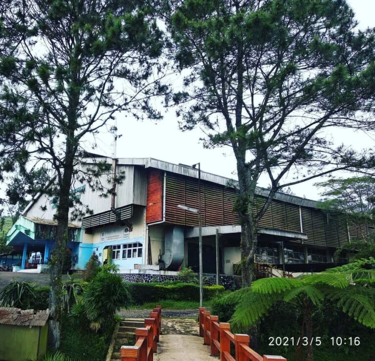 Jakarta :Volcano, HotSpring, Tea Factory, RiceField, &Coffee - Why This Tour Offers Great Value