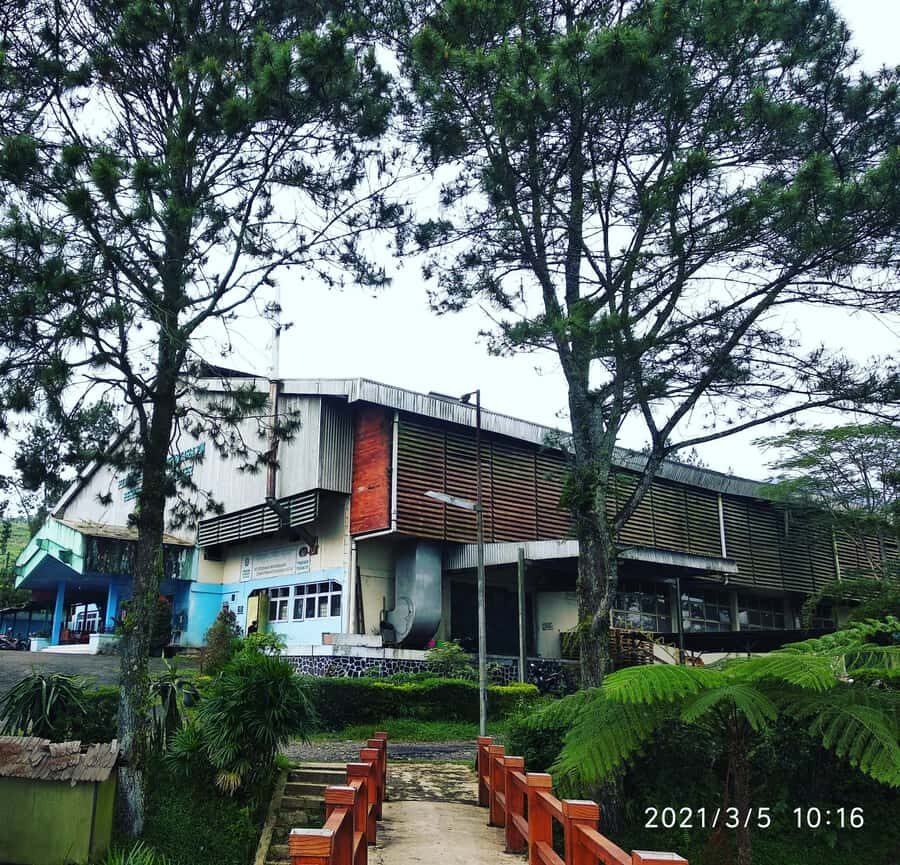 Jakarta :Volcano, HotSpring, Tea Factory, RiceField, &Coffee - Why This Tour Offers Great Value