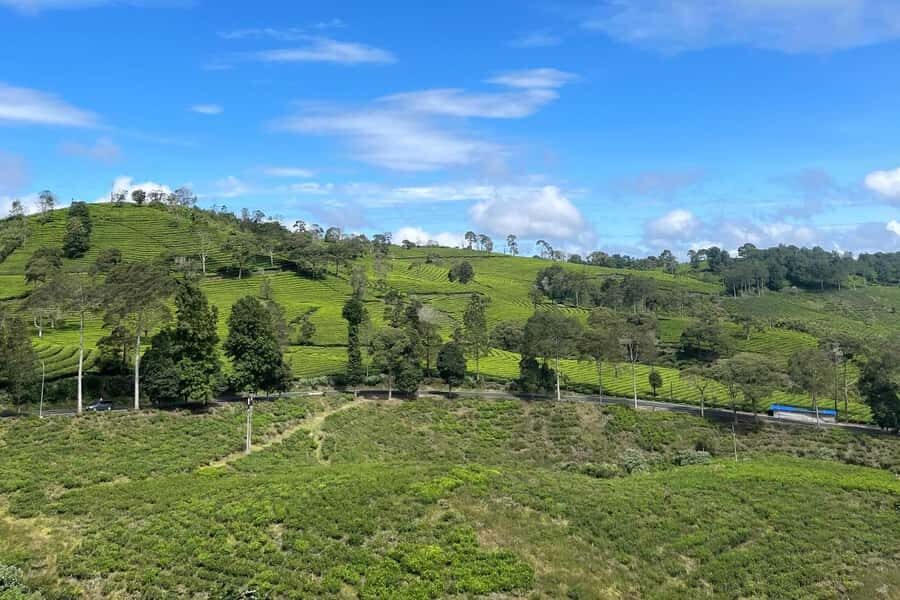 Jakarta: Volcano, Suspension Bridge and Hot Spring - What to Expect and Practical Tips