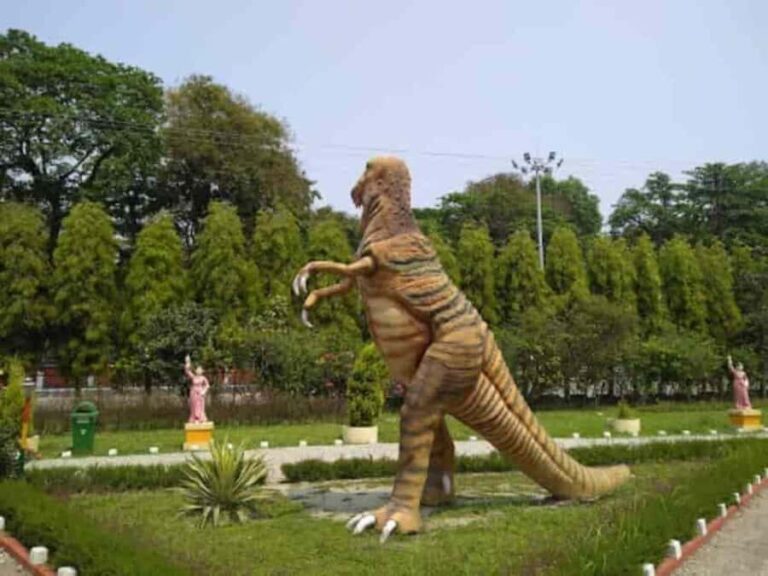 Jalpaiguri: Full-Day Private Tour with Tea Estate Visit - Transportation, Guide, and Value