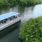 Jamaica: Black River Safari Guided Tour and YS Falls Tour - What Makes This Tour Stand Out