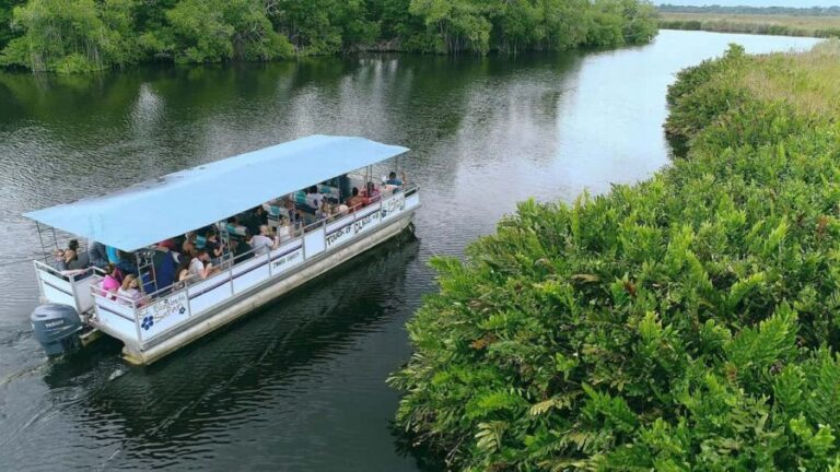 Jamaica: Black River Safari Guided Tour and YS Falls Tour - What Makes This Tour Stand Out