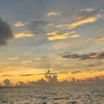 Jamaica Blue Hole Private Bus Tour Experience - Transportation and Comfort