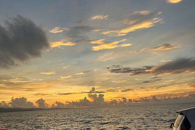 Jamaica Blue Hole Private Bus Tour Experience - Transportation and Comfort