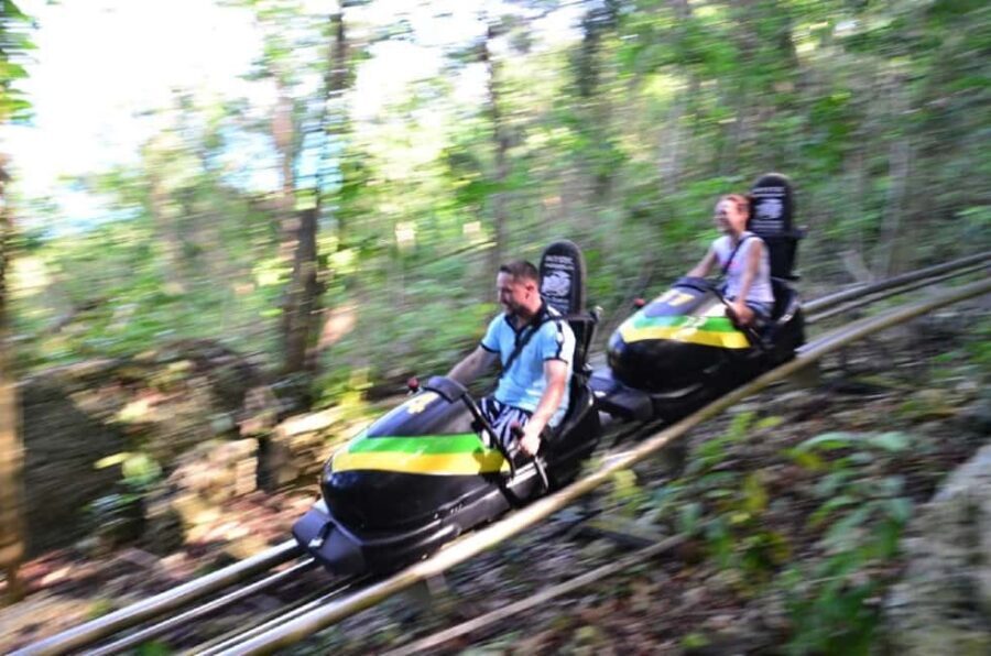 Jamaica Bobsled and Zip Line Adventure Tour - The Top of the Mountain — Relaxing and Scenic Options