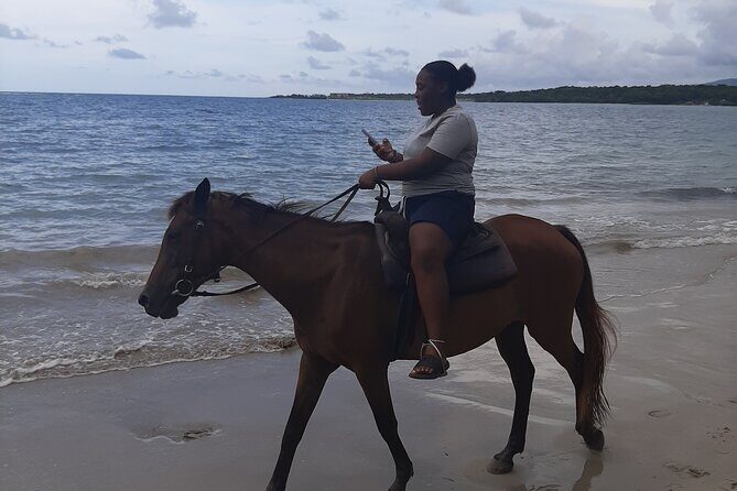 Jamaica Horse Ride Tour with Lunch and Shopping - Who Is This Tour Best For?