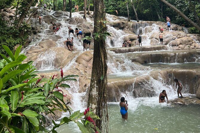 Jamaican Escapade Experience Dunn's River's Natural Majesty - Swimming and Exploration at the Base