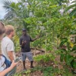 Jamaican Roots Tropical Farm Tour - Taste & Explore (Negril) 2hr - Practical Tips & What to Expect