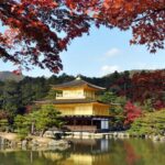 Japan: 7-Day Private Tour with Driver and Guide - What You Can Expect from the 7-Day Itinerary
