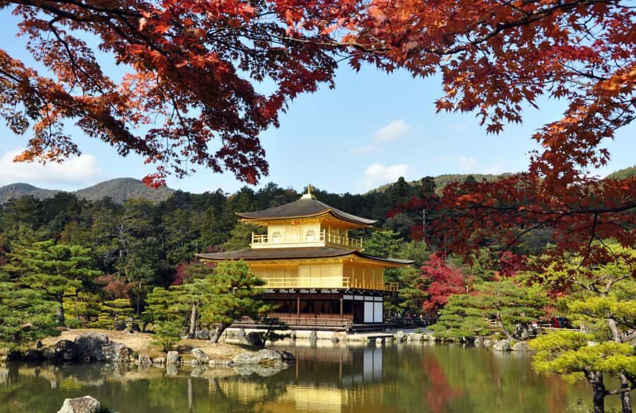 Japan: 7-Day Private Tour with Driver and Guide - What You Can Expect from the 7-Day Itinerary
