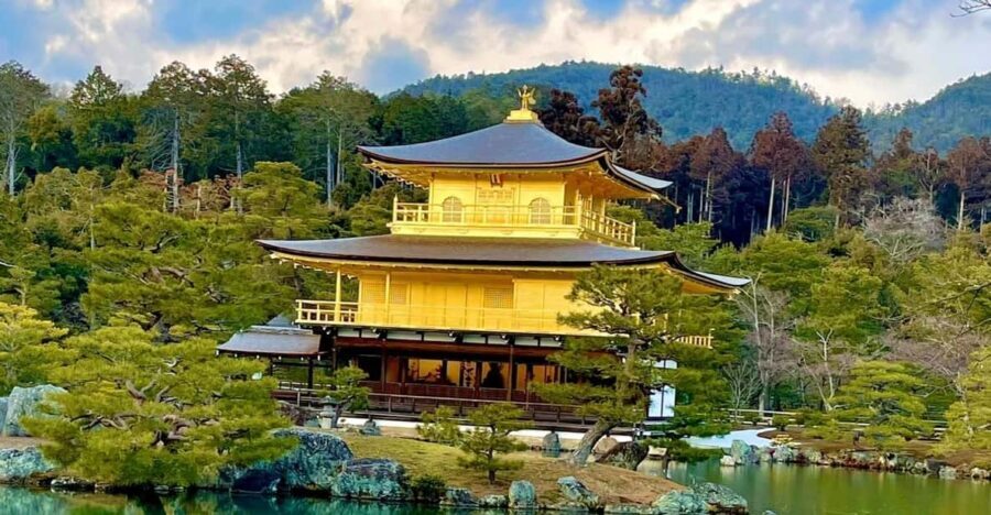 Japan: 8-Day Guided Tour with Accommodation and Transport - Who Will Love This Tour?  