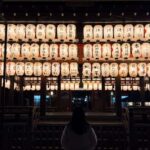 Japan: Travel Vlog: Self-Shoot Guide & Video Editing Service - The Itinerary in Detail