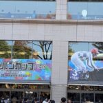 Japanese horseracing private tour with a local expert! - Deep Dive into the Experience