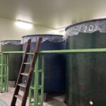 Japanese Sake Brewery Visit and Tasting in Kanagawa - Who Should Consider This Tour?