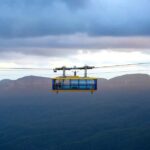 Japanese Tour Small Group: Blue Mountains, Scenic World, Zoo - Potential Drawbacks or Considerations