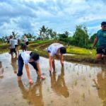 Jatiluwih Nature and Wellness Day Tour - Practical Details: What to Expect and Considerations