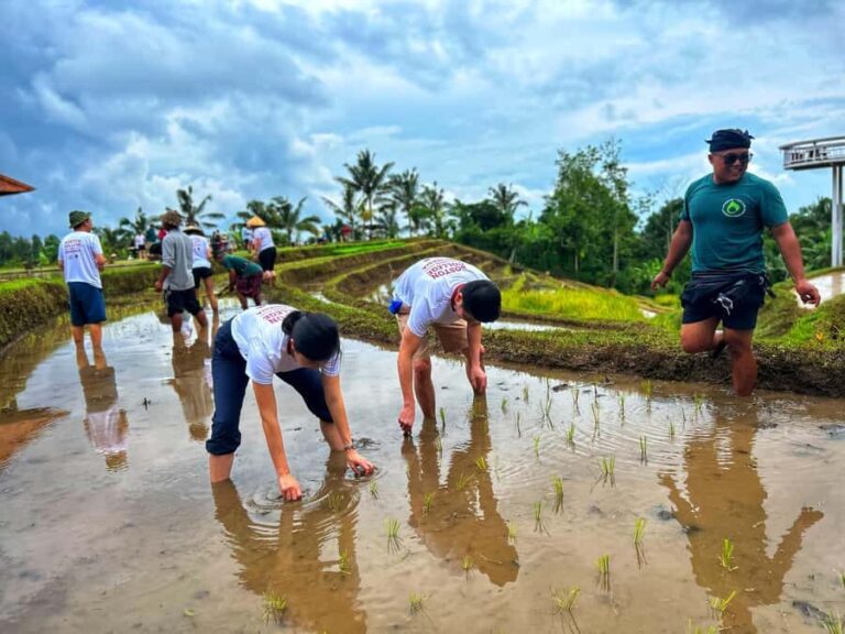 Jatiluwih Nature and Wellness Day Tour - Practical Details: What to Expect and Considerations