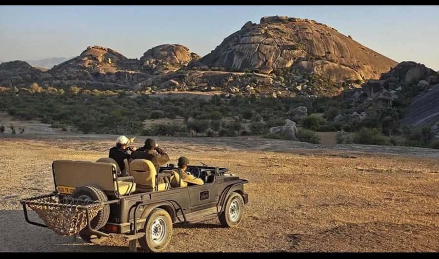 Jawai: Leopard Trails, Tribal Stories & Sacred Night Walk - Who Will Love This Tour?