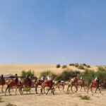 Jeep & Camel Ride, Musical Evening in The Desert Luxury Camp - Detailed Breakdown of the Itinerary