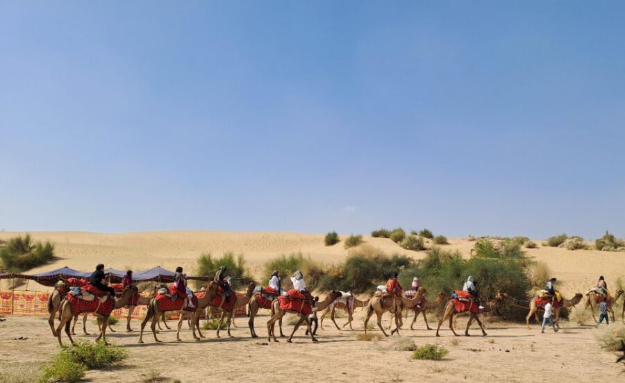 Jeep & Camel Ride, Musical Evening in The Desert Luxury Camp - Detailed Breakdown of the Itinerary