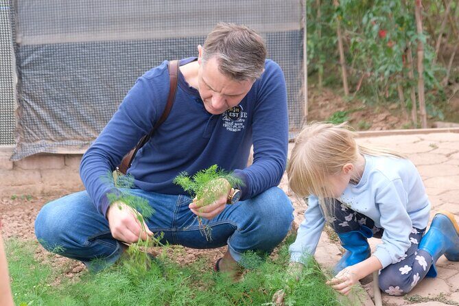 Jeep Experience Pure Vietnamese Agriculture Tour - Practical Details and What to Expect