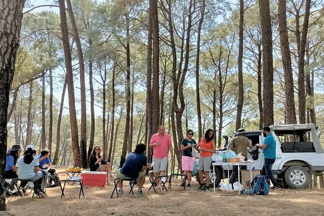 Jeep Safari and Picnic Tour - Who Will Love This Tour?