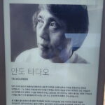 Jeju Art & Culture Tour: Bonte Museum- Tadao Ando, Arte Museum - Transportation, Timing, and Group Dynamics