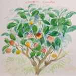 Jeju Art Escape: Explore, Create, Inspire - Details and Practicalities