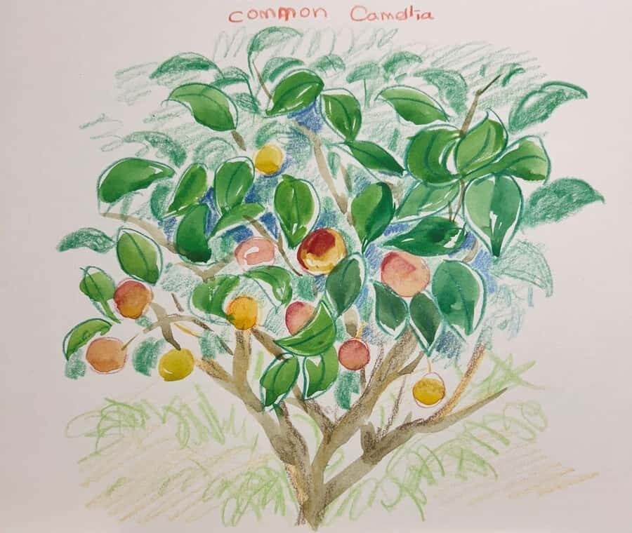 Jeju Art Escape: Explore, Create, Inspire - Details and Practicalities