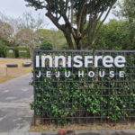 Jeju: Cherry Blossom South & West Day Tour with Hotel Pickup - Camellia Hill: East Asia’s Largest Arboretum