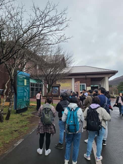 Jeju: Cherry Blossom South & West Day Tour with Hotel Pickup - A Deep Dive into the Experience