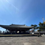 Jeju city walking tour with a certified guide - The Value and Practicalities