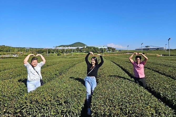 Jeju Customize Private VAN Tour of East or West or South (~8pax) - The Itinerary in Detail