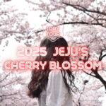 Jeju East: Cherry Blossom Early Bird Tour with Hotel Pickup - The Itinerary Breakdown