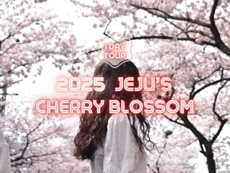 Jeju East: Cherry Blossom Early Bird Tour with Hotel Pickup - The Itinerary Breakdown