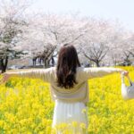 Jeju: Eastern Spring Cherry blossom& Canola & UNESCO Tour - Transportation, Timing, and Group Dynamics