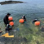 Jeju: Haenyeo Culture Experience with Seafood Tasting - What We Loved and What to Consider