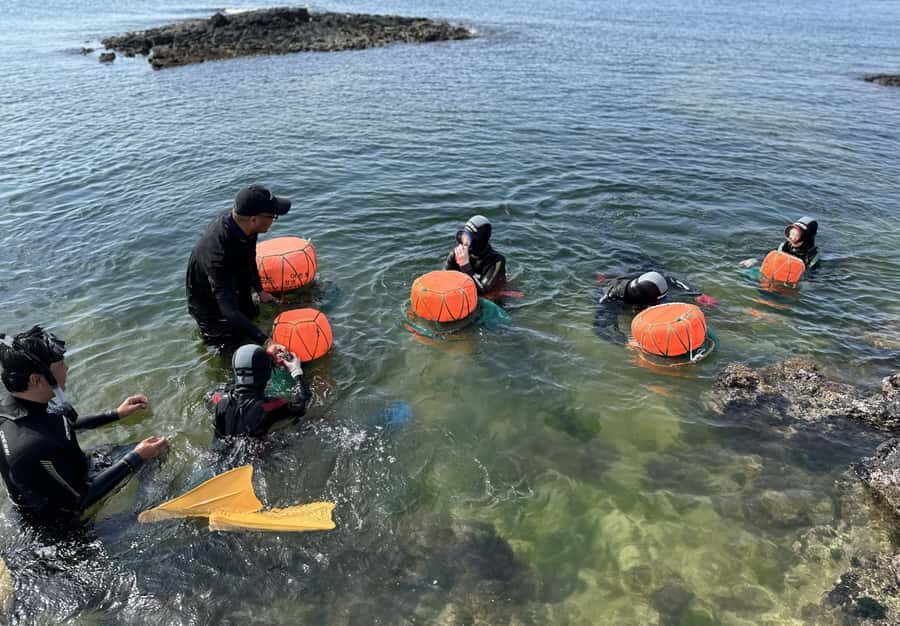 Jeju: Haenyeo Culture Experience with Seafood Tasting - What We Loved and What to Consider