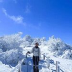 Jeju: HALLASAN National Park Guided Snow Climb (5hr_w/Gear) - The Experience of a Professional & Knowledgeable Guide