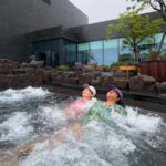 Jeju Island: 1 Day Private Tour - Transportation and Timing