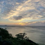 Jeju Island: Hallasan Mountain Winter Scenery Guided Tour - Practical Details and Value