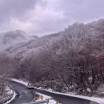 Jeju Island Snow Flower Tracking and Private Sledding Adventure - Practical Aspects and Insights