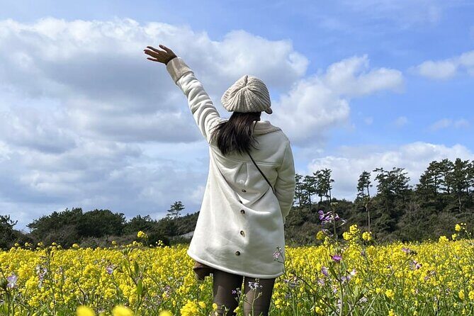 Jeju island Southern Unesco Mt.halla ONE day Bus Tour - How the Tour Works